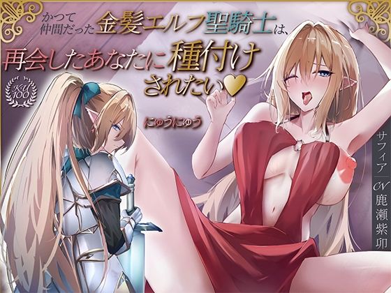 かつて仲間だった金髪エルフ聖騎士は、再会したあなたに種付けされたい♪【KU100収録】  エロ画像684282