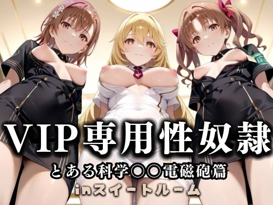 スイートルームVIP専用性処理係──快楽提供ルームサービス。  とある科学の超電磁砲編  エロ画像686595
