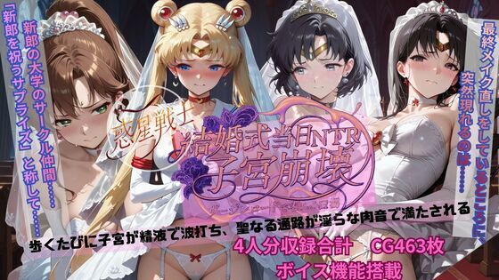 惑星戦士結婚式当日NTR子宮崩壊  エロ画像703915