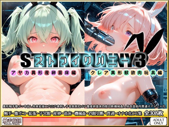 ストライクバニー3  エロ画像728662